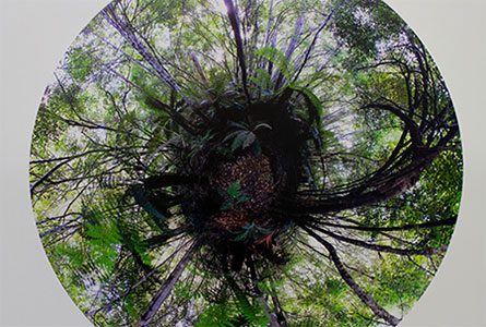 Flinders Johnston ('12), Stereographic photograph - 360 photographs stitched together to make a sphere, 2012.