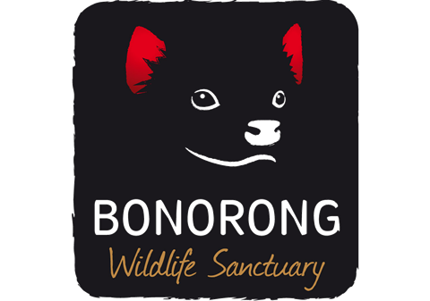 Bonorong Wildlife Sanctuary